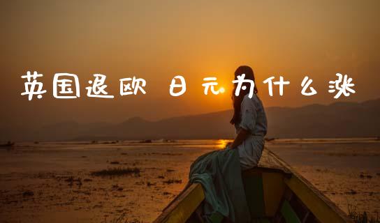 英国退欧 日元为什么涨_https://www.ltsssb.com_期货在线_第1张
