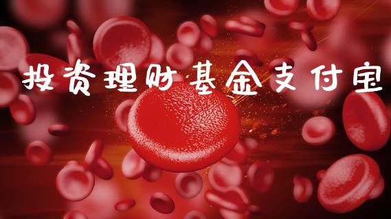 投资理财基金支付宝_https://www.ltsssb.com_国际财经_第1张