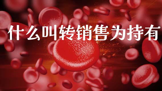 什么叫转销售为持有_https://www.ltsssb.com_新股数据_第1张