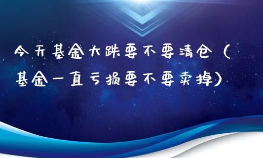 今天基金大跌要不要清仓（基金一直亏损要不要卖掉）_https://www.ltsssb.com_国际财经_第1张
