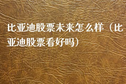 比亚迪股票未来怎么样（比亚迪股票看好吗）_https://www.ltsssb.com_股票理论_第1张