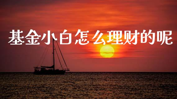 基金小白怎么理财的呢_https://www.ltsssb.com_基金频道_第1张