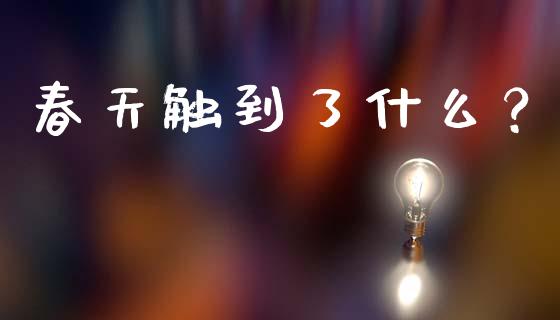 春天触到了什么？_https://www.ltsssb.com_期货密码_第1张