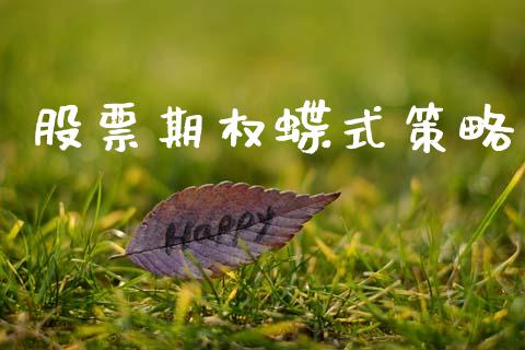 股票期权蝶式策略_https://www.ltsssb.com_期货行情_第1张