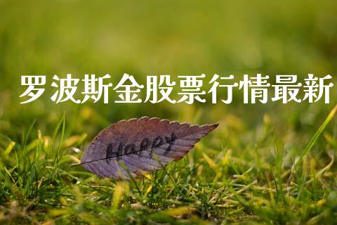 罗波斯金股票行情最新_https://www.ltsssb.com_股市分析_第1张