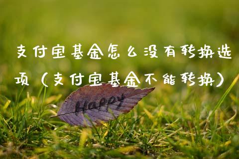 支付宝基金怎么没有转换选项（支付宝基金不能转换）_https://www.ltsssb.com_国际财经_第1张