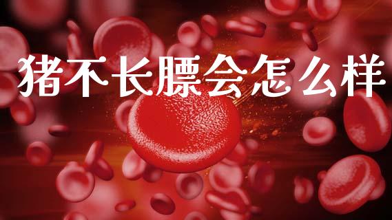 猪不长膘会怎么样_https://www.ltsssb.com_新股数据_第1张