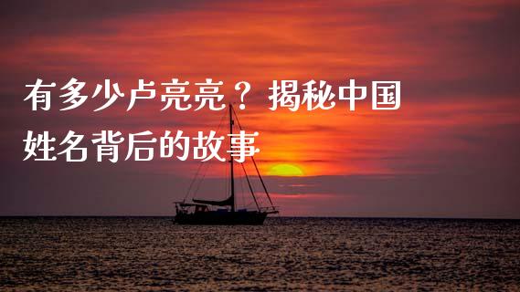 有多少卢亮亮？ 揭秘中国姓名背后的故事_https://www.ltsssb.com_股票理论_第1张