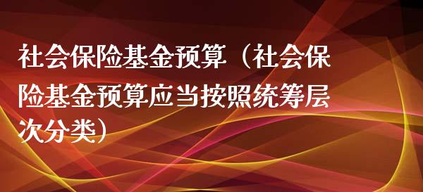 社会保险基金预算（社会保险基金预算应当按照统筹层次分类）_https://www.ltsssb.com_国际财经_第1张