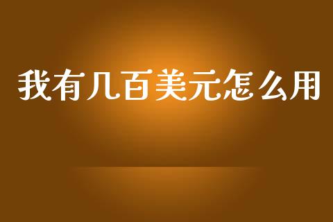 我有几百美元怎么用_https://www.ltsssb.com_国际财经_第1张