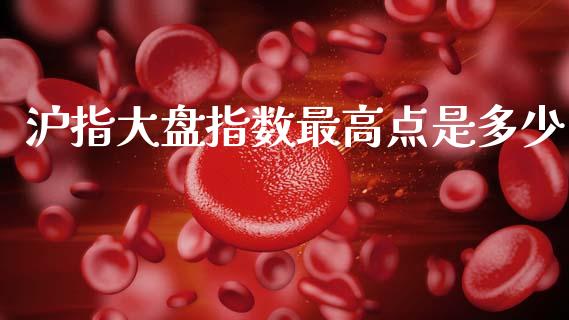 沪指大盘指数最高点是多少_https://www.ltsssb.com_新股数据_第1张