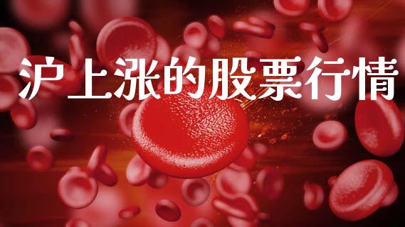 沪上涨的股票行情_https://www.ltsssb.com_股市分析_第1张
