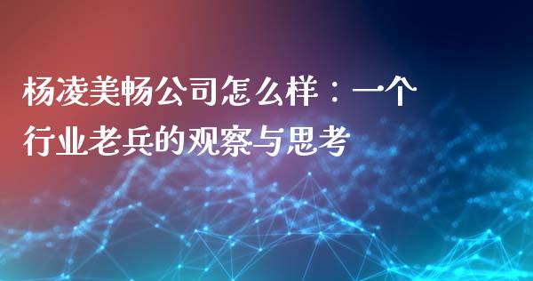 杨凌美畅公司怎么样：一个行业老兵的观察与思考_https://www.ltsssb.com_期货密码_第1张