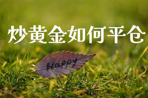 炒黄金如何平仓_https://www.ltsssb.com_基金频道_第1张