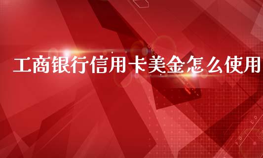 工商银行信用卡美金怎么使用_https://www.ltsssb.com_期货行情_第1张