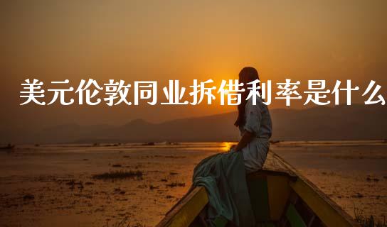 美元伦敦同业拆借利率是什么_https://www.ltsssb.com_股市分析_第1张