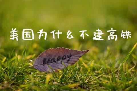 美国为什么不建高铁_https://www.ltsssb.com_期货在线_第1张