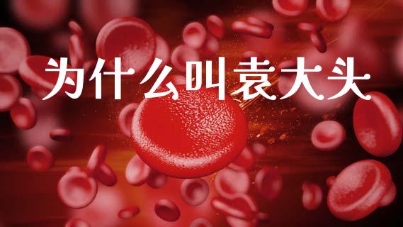 为什么叫袁大头_https://www.ltsssb.com_新股数据_第1张