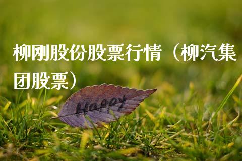 柳刚股份股票行情（柳汽集团股票）_https://www.ltsssb.com_新股数据_第1张