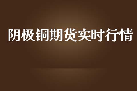 阴极铜期货实时行情_https://www.ltsssb.com_期货密码_第1张