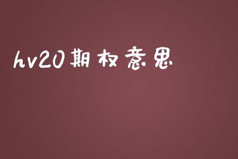 hv20期权意思_https://www.ltsssb.com_基金频道_第1张