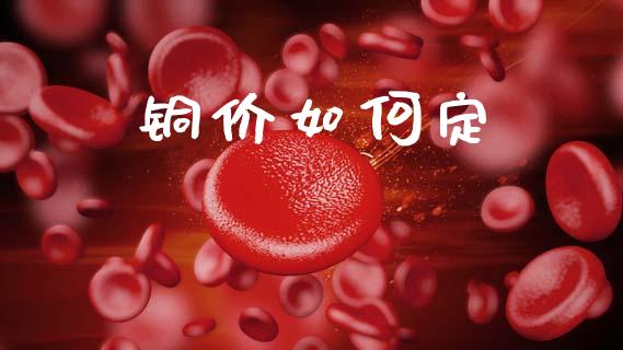 铜价如何定_https://www.ltsssb.com_期货密码_第1张