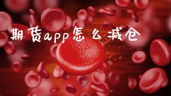 期货app怎么减仓_https://www.ltsssb.com_基金频道_第1张