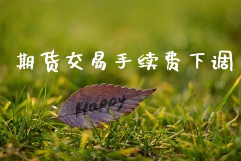 期货交易手续费下调_https://www.ltsssb.com_基金频道_第1张