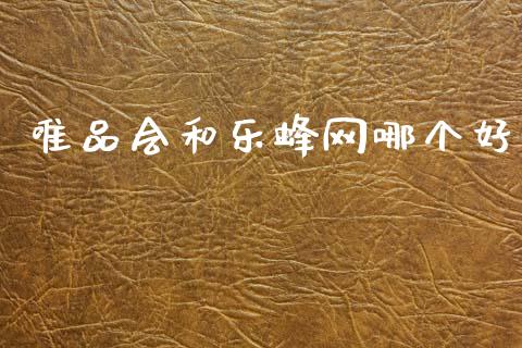 唯品会和乐蜂网哪个好_https://www.ltsssb.com_国际财经_第1张