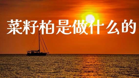 菜籽柏是做什么的_https://www.ltsssb.com_股票理论_第1张