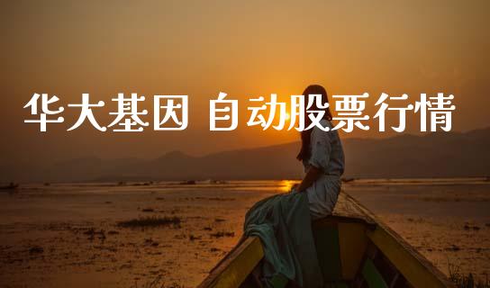 华大基因 自动股票行情_https://www.ltsssb.com_股市分析_第1张