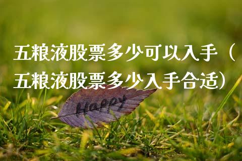五粮液股票多少可以入手（五粮液股票多少入手合适）_https://www.ltsssb.com_新股数据_第1张