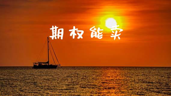 期权能卖_https://www.ltsssb.com_基金频道_第1张