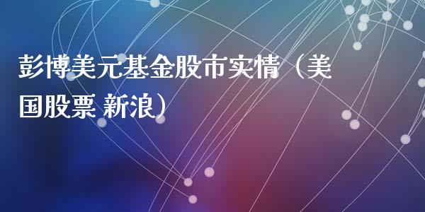 彭博美元基金股市实情（美国股票 新浪）_https://www.ltsssb.com_基金频道_第1张
