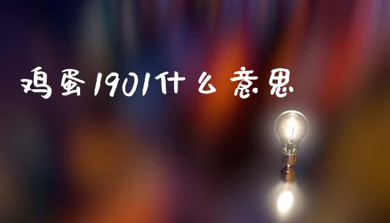 鸡蛋1901什么意思_https://www.ltsssb.com_期货行情_第1张