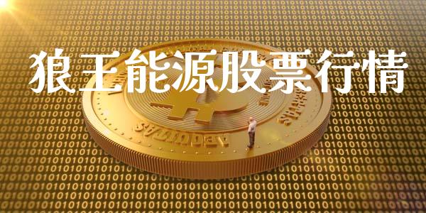 狼王能源股票行情_https://www.ltsssb.com_股市分析_第1张