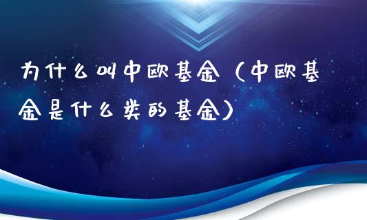 为什么叫中欧基金（中欧基金是什么类的基金）_https://www.ltsssb.com_基金频道_第1张