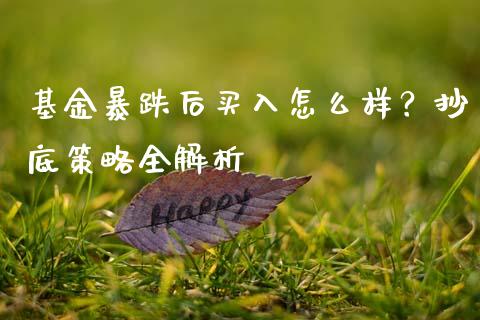 基金暴跌后买入怎么样？抄底策略全解析_https://www.ltsssb.com_期货行情_第1张