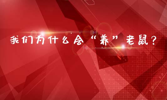 我们为什么会“养”老鼠？_https://www.ltsssb.com_股票理论_第1张
