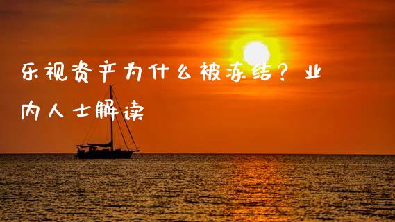 乐视资产为什么被冻结？业内人士解读_https://www.ltsssb.com_期货行情_第1张
