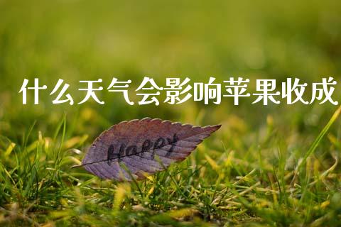 什么天气会影响苹果收成_https://www.ltsssb.com_新股数据_第1张