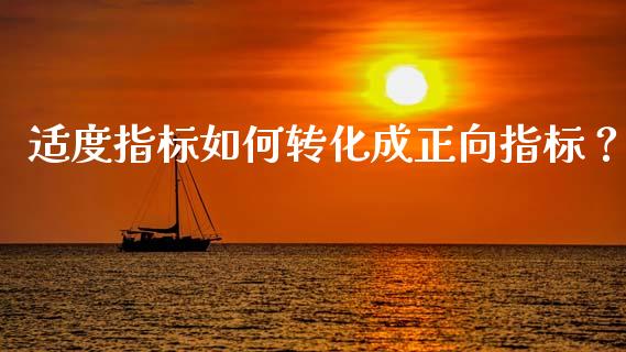 适度指标如何转化成正向指标？_https://www.ltsssb.com_期货行情_第1张