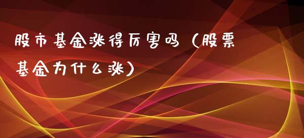股市基金涨得厉害吗（股票基金为什么涨）_https://www.ltsssb.com_国际财经_第1张