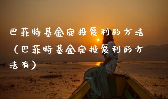 巴菲特基金定投复利的方法（巴菲特基金定投复利的方法有）_https://www.ltsssb.com_基金频道_第1张