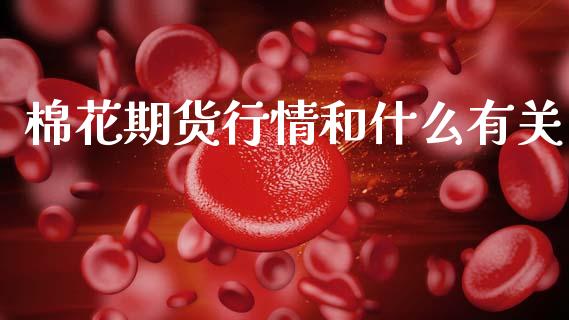 棉花期货行情和什么有关_https://www.ltsssb.com_期货行情_第1张