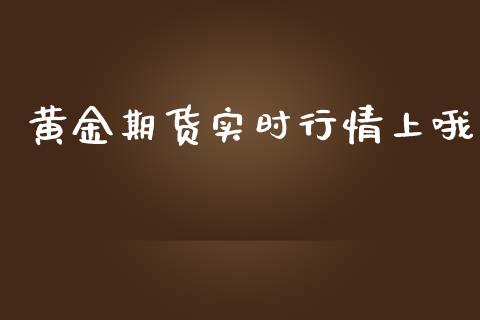 黄金期货实时行情上哦_https://www.ltsssb.com_期货密码_第1张