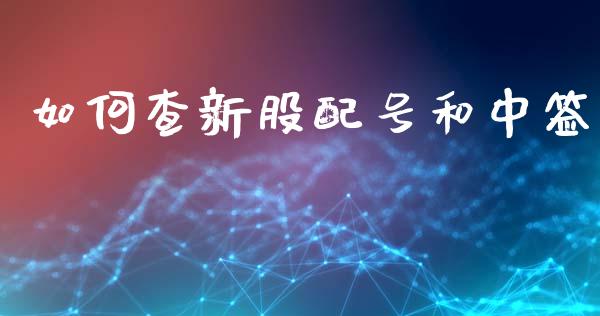 如何查新股配号和中签_https://www.ltsssb.com_基金频道_第1张