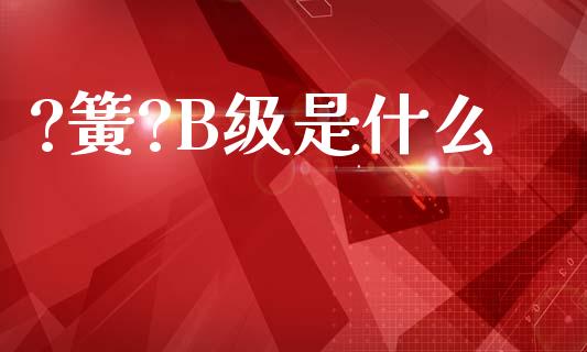 ?簧?B级是什么_https://www.ltsssb.com_期货在线_第1张