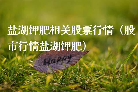盐湖钾肥相关股票行情（股市行情盐湖钾肥）_https://www.ltsssb.com_新股数据_第1张