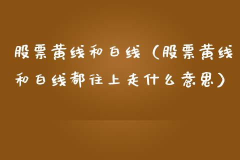 股票黄线和白线（股票黄线和白线都往上走什么意思）_https://www.ltsssb.com_新股数据_第1张